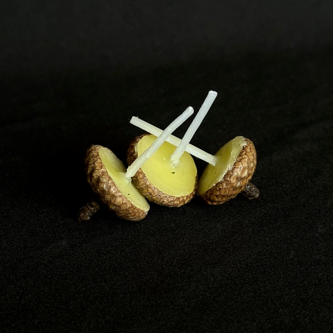 The Briefest Light - Acorn-Cap Candles