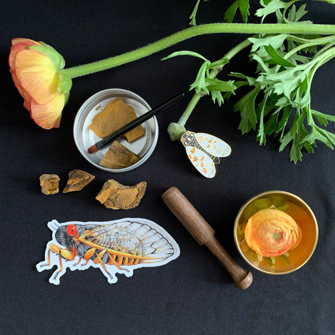 The Cicadas - Limited-Edition Box