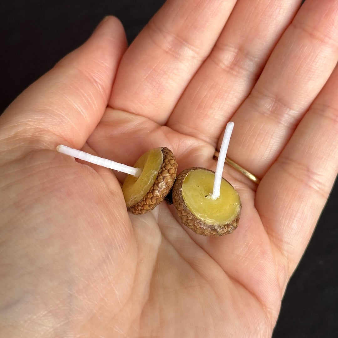 The Briefest Light - Acorn-Cap Candles