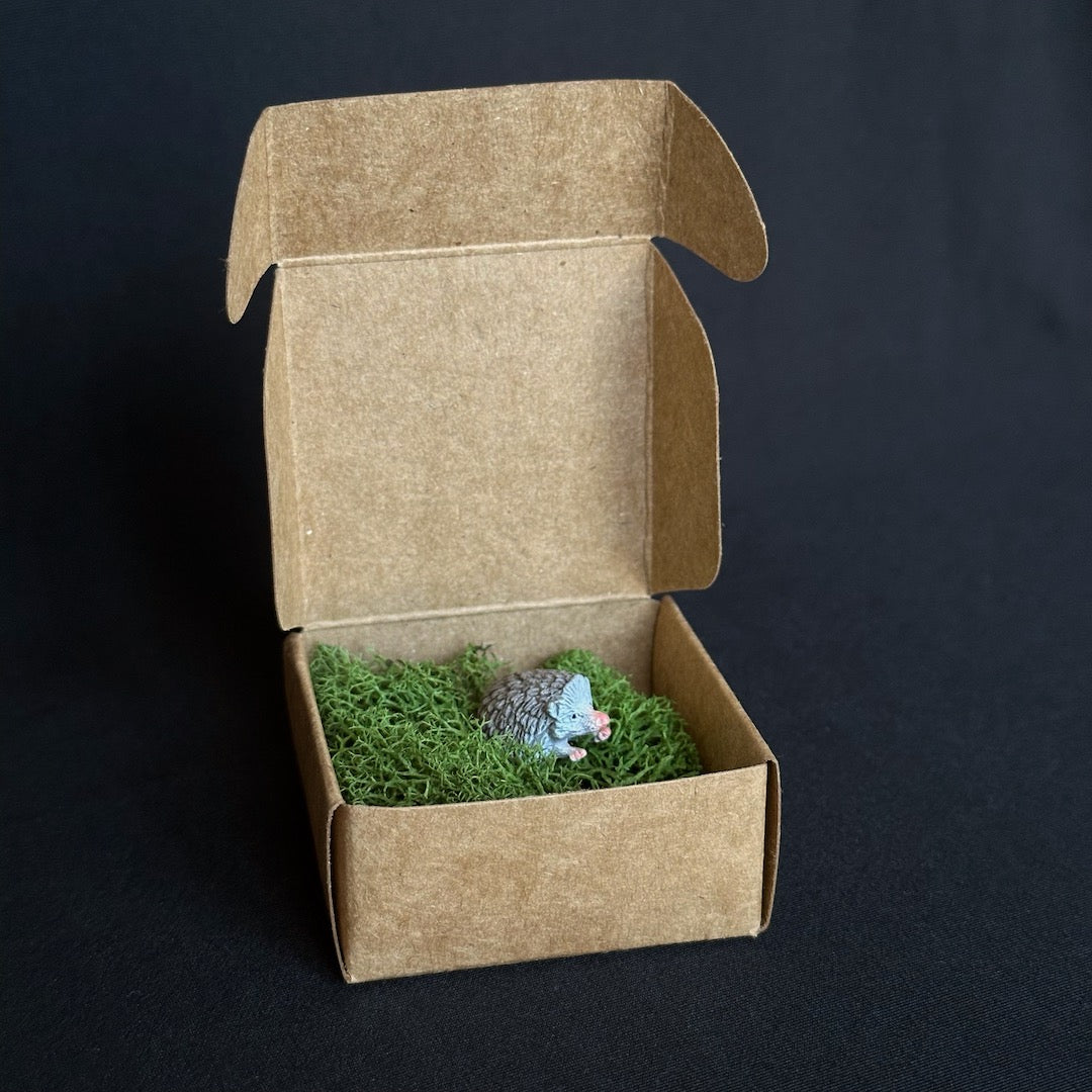 Hedgehog and Moss Mini