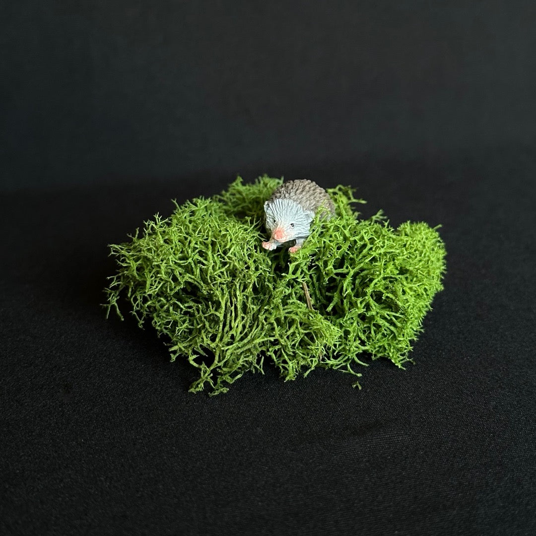 Hedgehog and Moss Mini