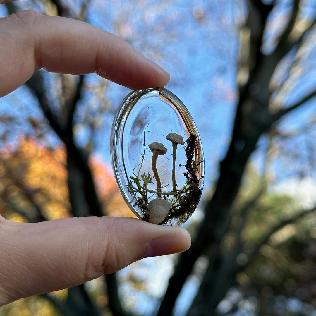 Mushroom Cabochon - The Forest, Frozen in Time