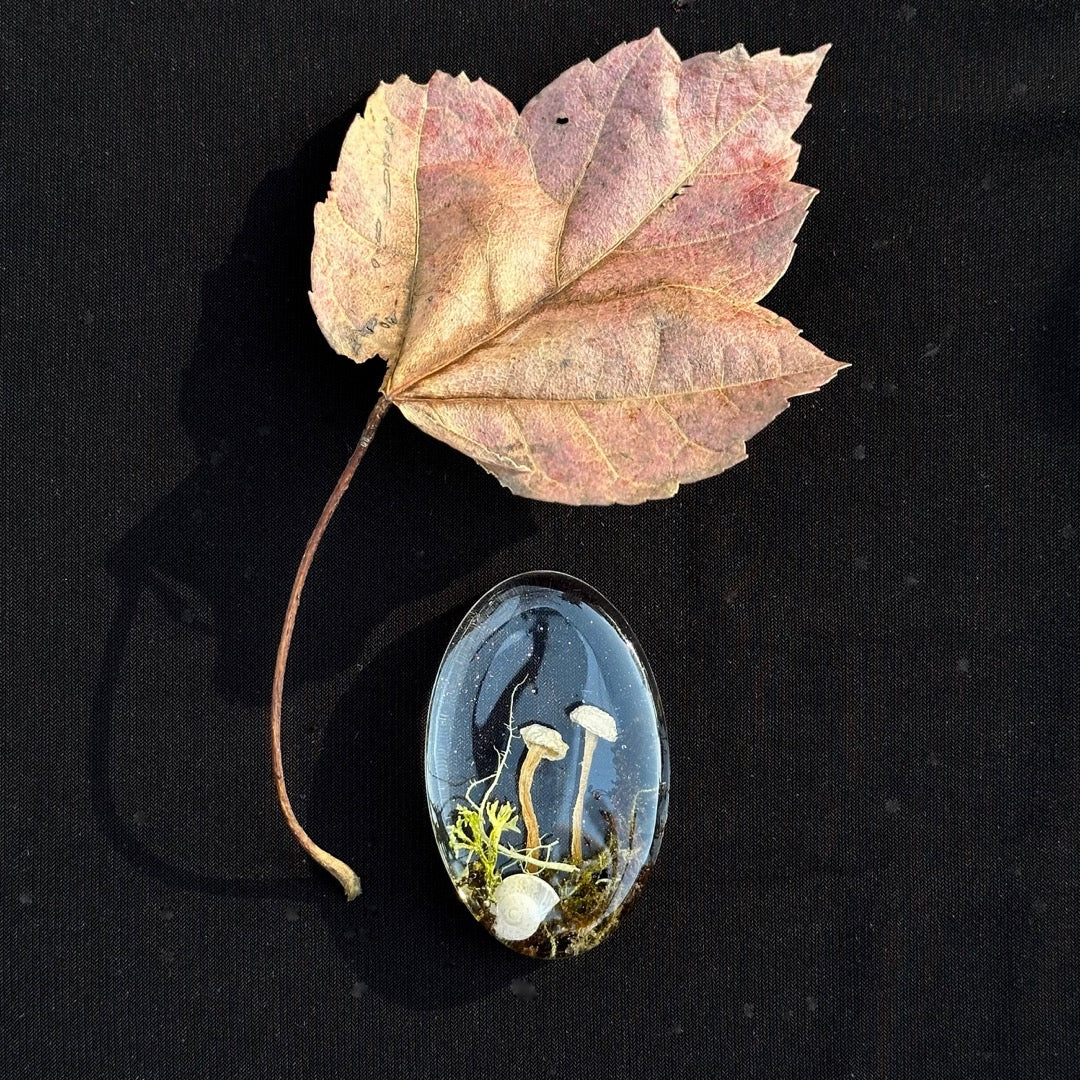 Mushroom Cabochon - The Forest, Frozen in Time