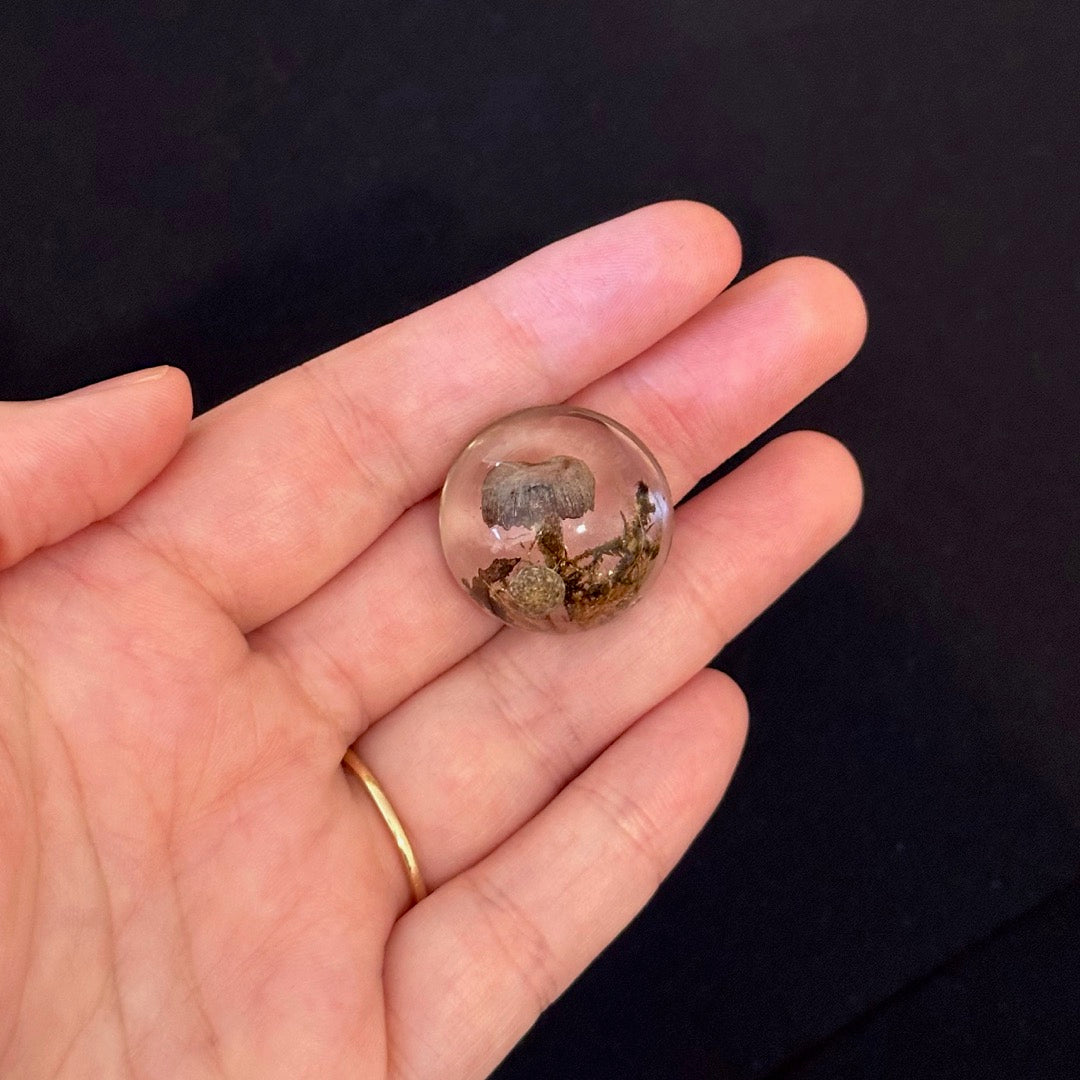 Mushroom Cabochon - The Forest, Frozen in Time