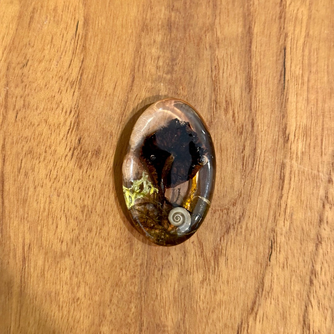 Mushroom Cabochon - The Forest, Frozen in Time