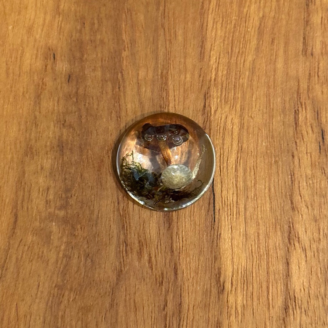 Mushroom Cabochon - The Forest, Frozen in Time