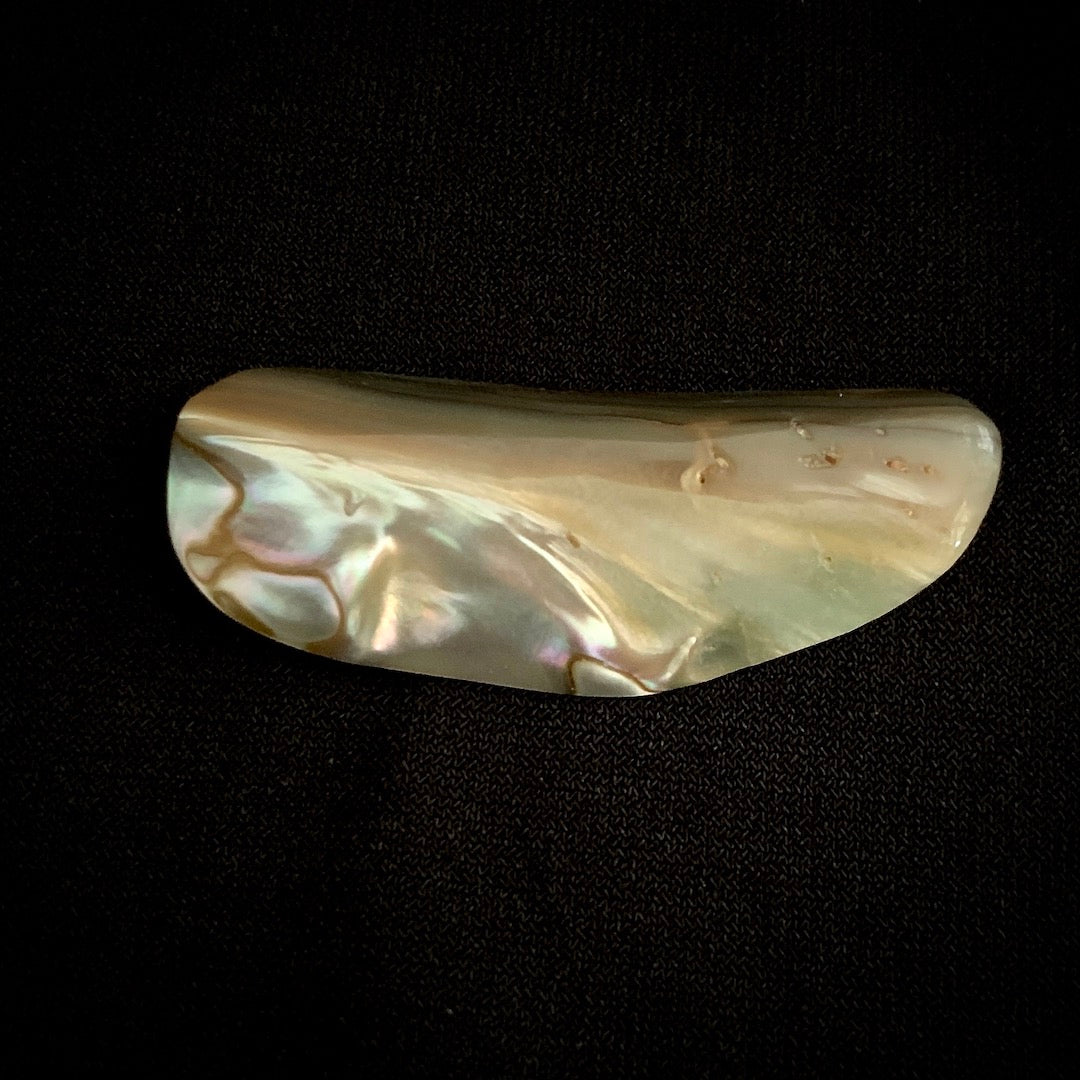 Wing-Like Shell - Abalone Shell Rim