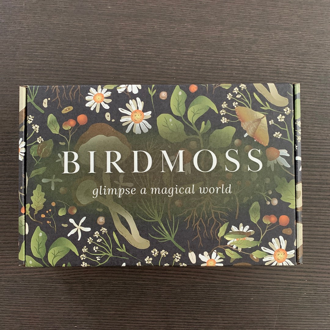 Twelve Nights in Birdmoss Box - Advent Calendar