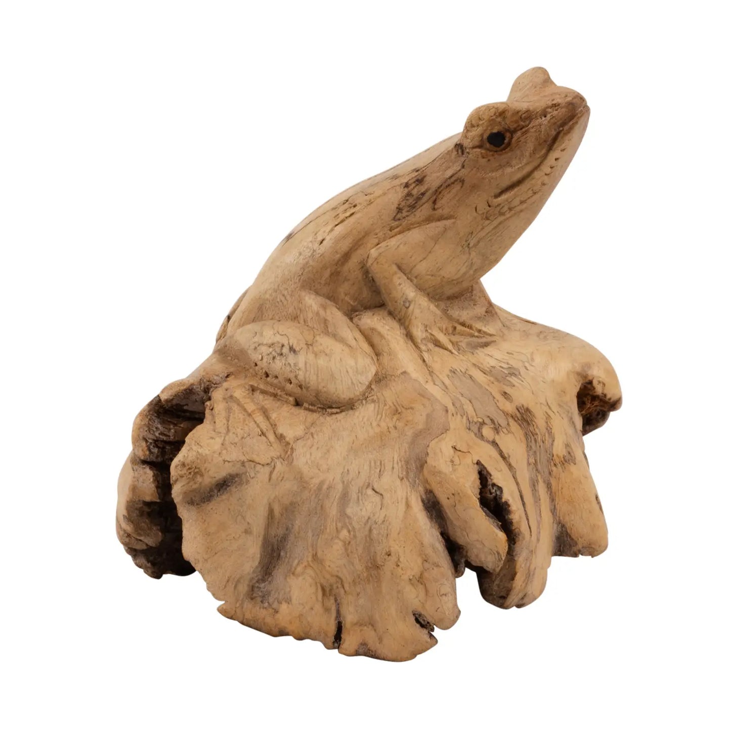 Hand-Carved Frog - Parasite Wood Sculpture