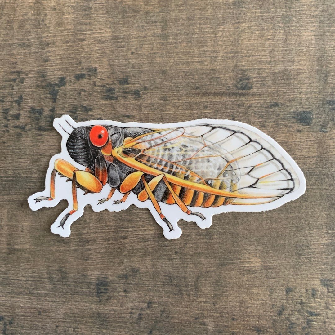 Winged Companion - Vinyl Cicada Sticker - Oddment