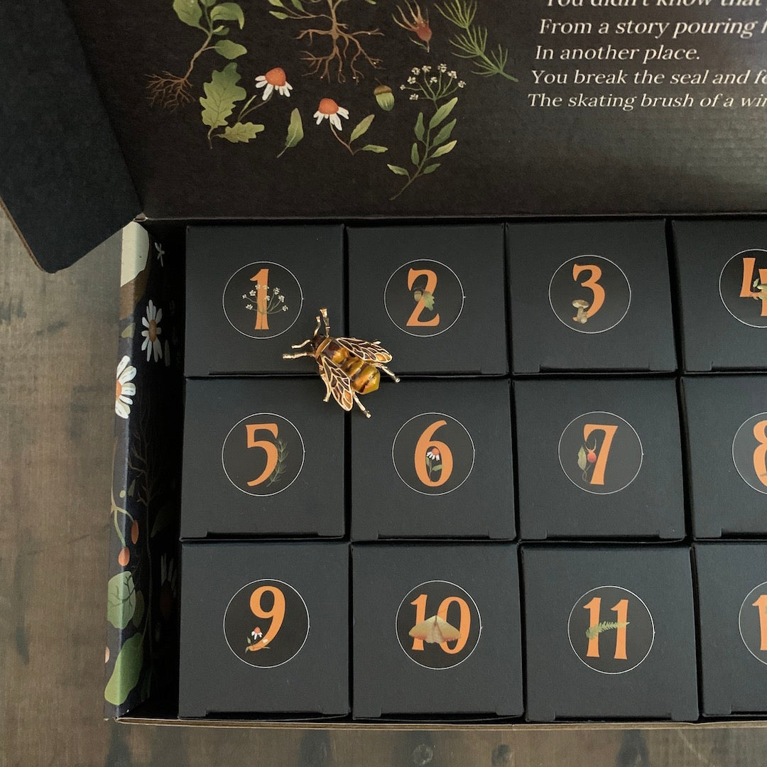 Twelve Nights in Birdmoss Box - Advent Calendar
