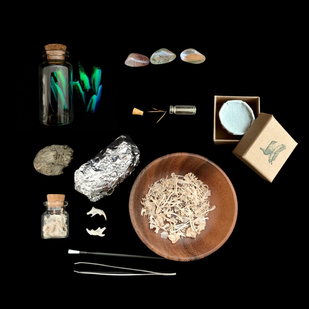 Limited Offering - Curiosity Bundle