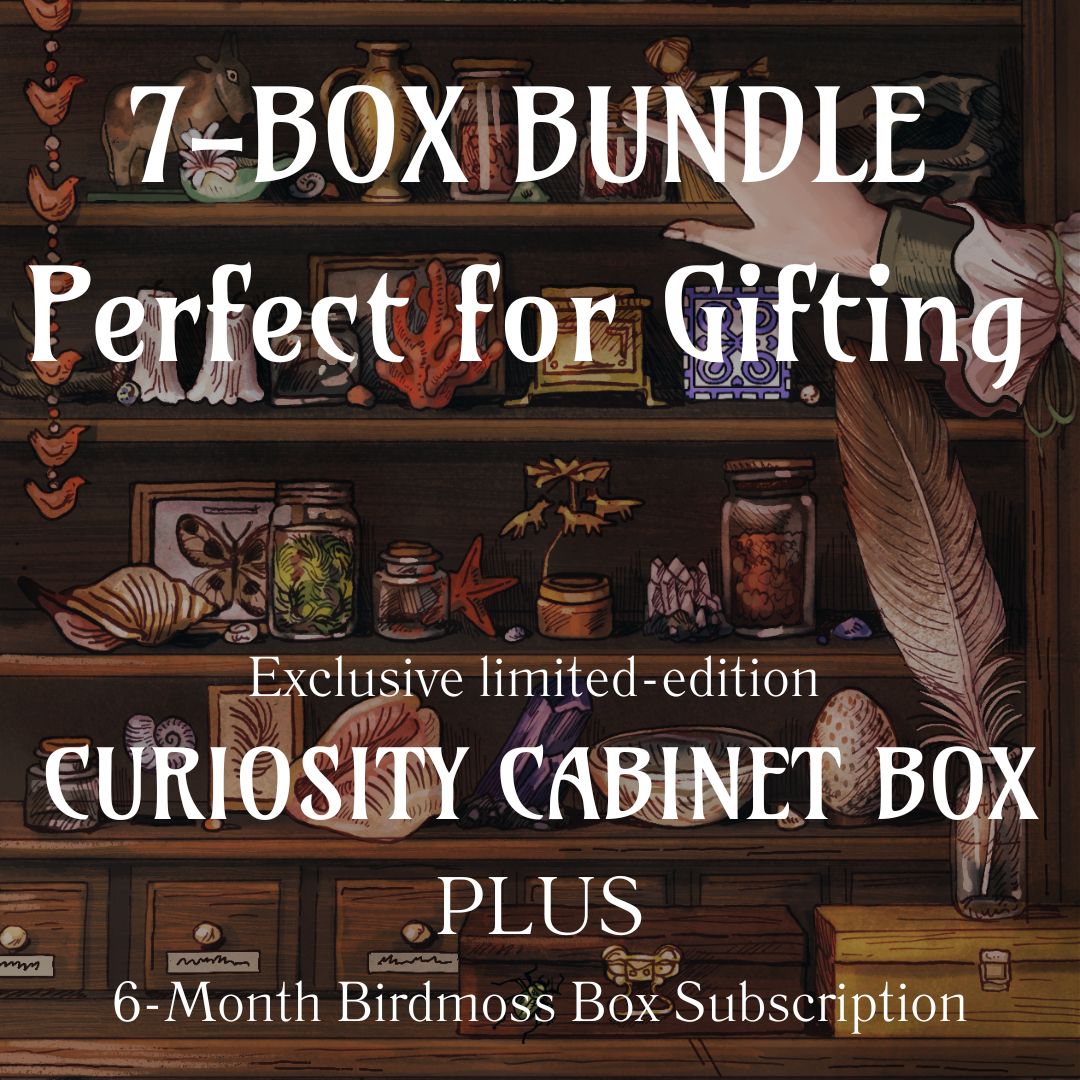 Six Month Prepaid Subscription PLUS Limited-Edition Curiosity Cabinet Box