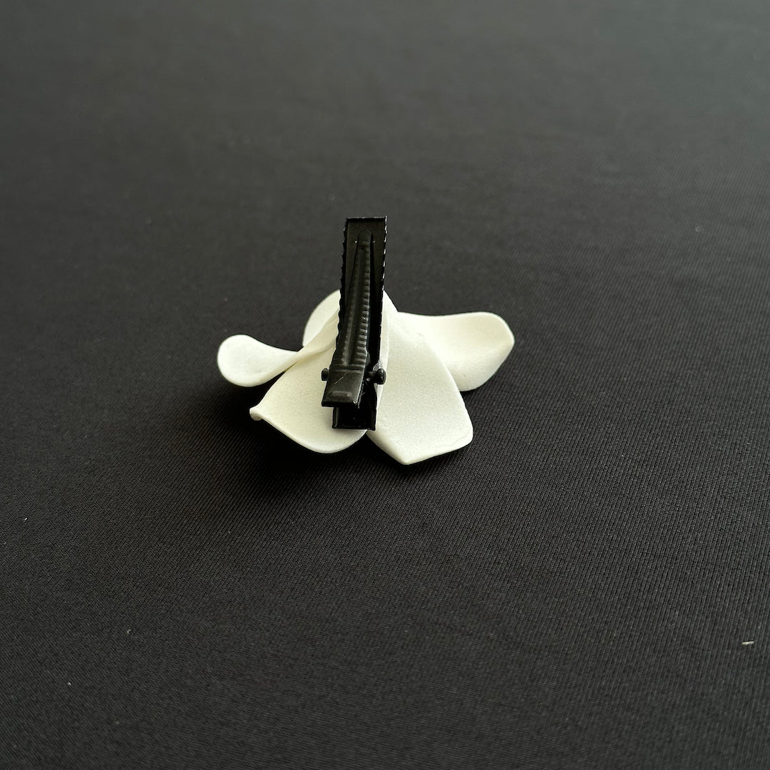 Clue from the Crows - Bronze Hummingbird Coin