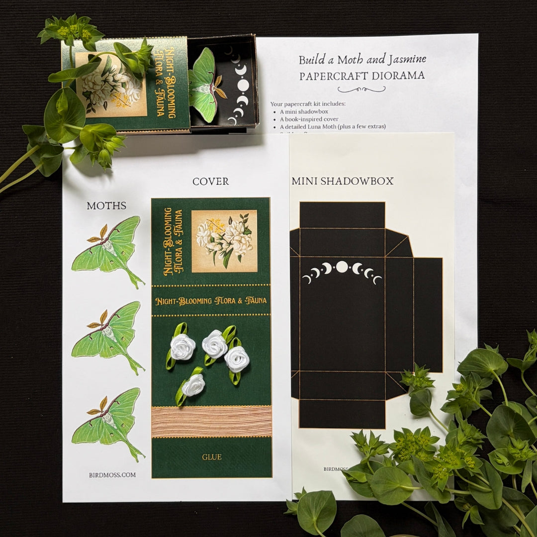 Book of Blooms - Luna Moth and Jasmine Papercraft Diorama Kit