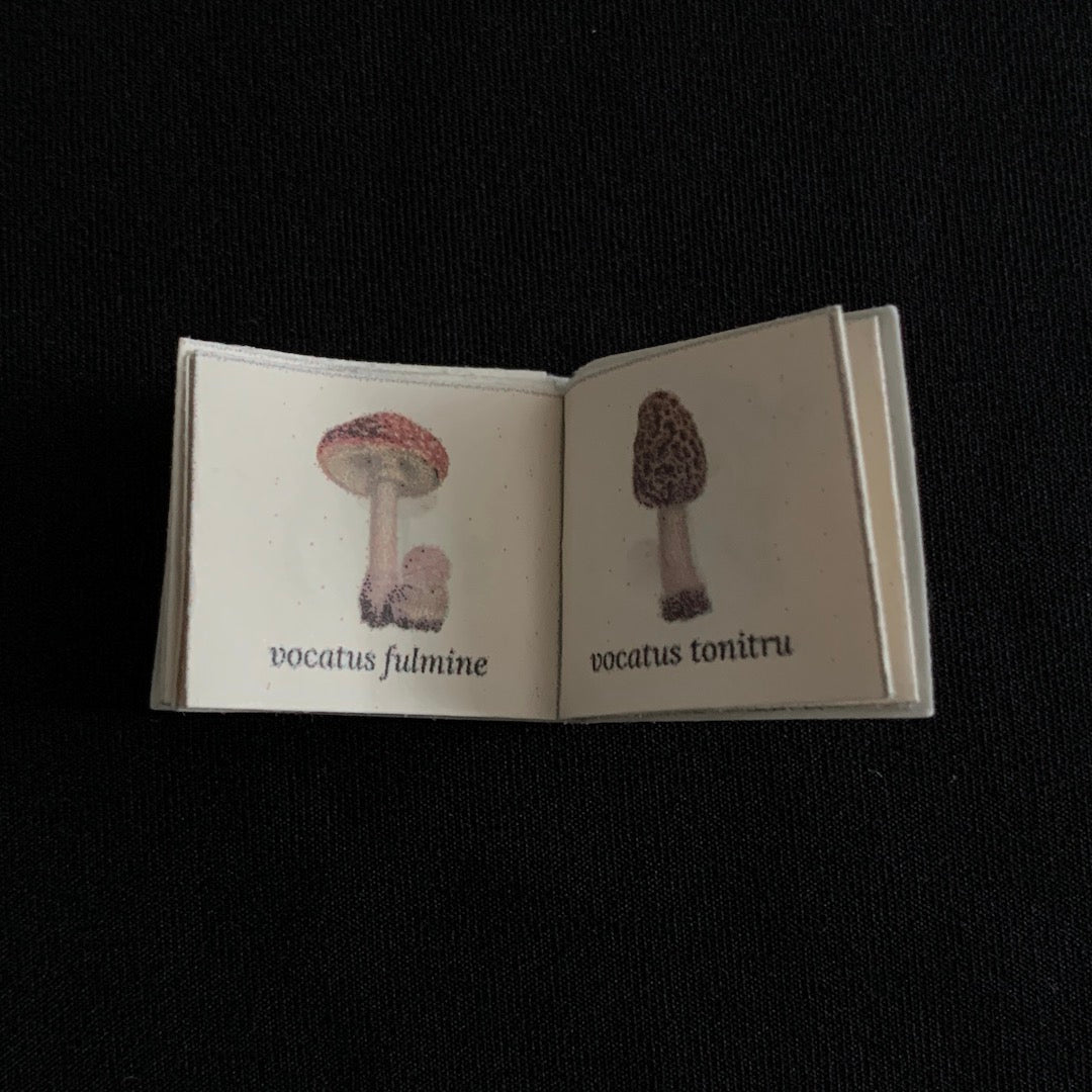 Miniature Readable Books Kit - Digital Download