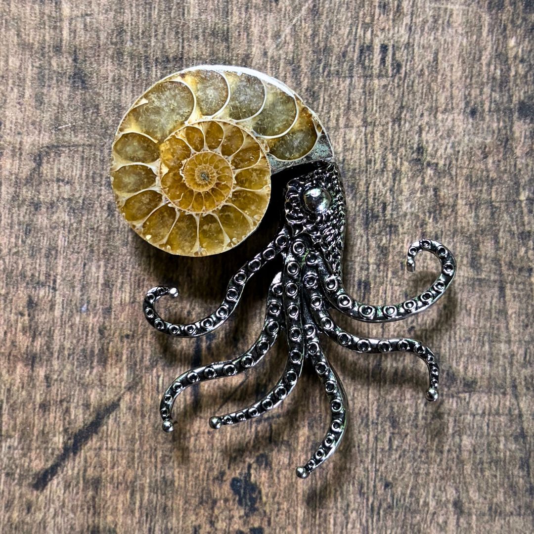Sea Creature Brooch - Oddment
