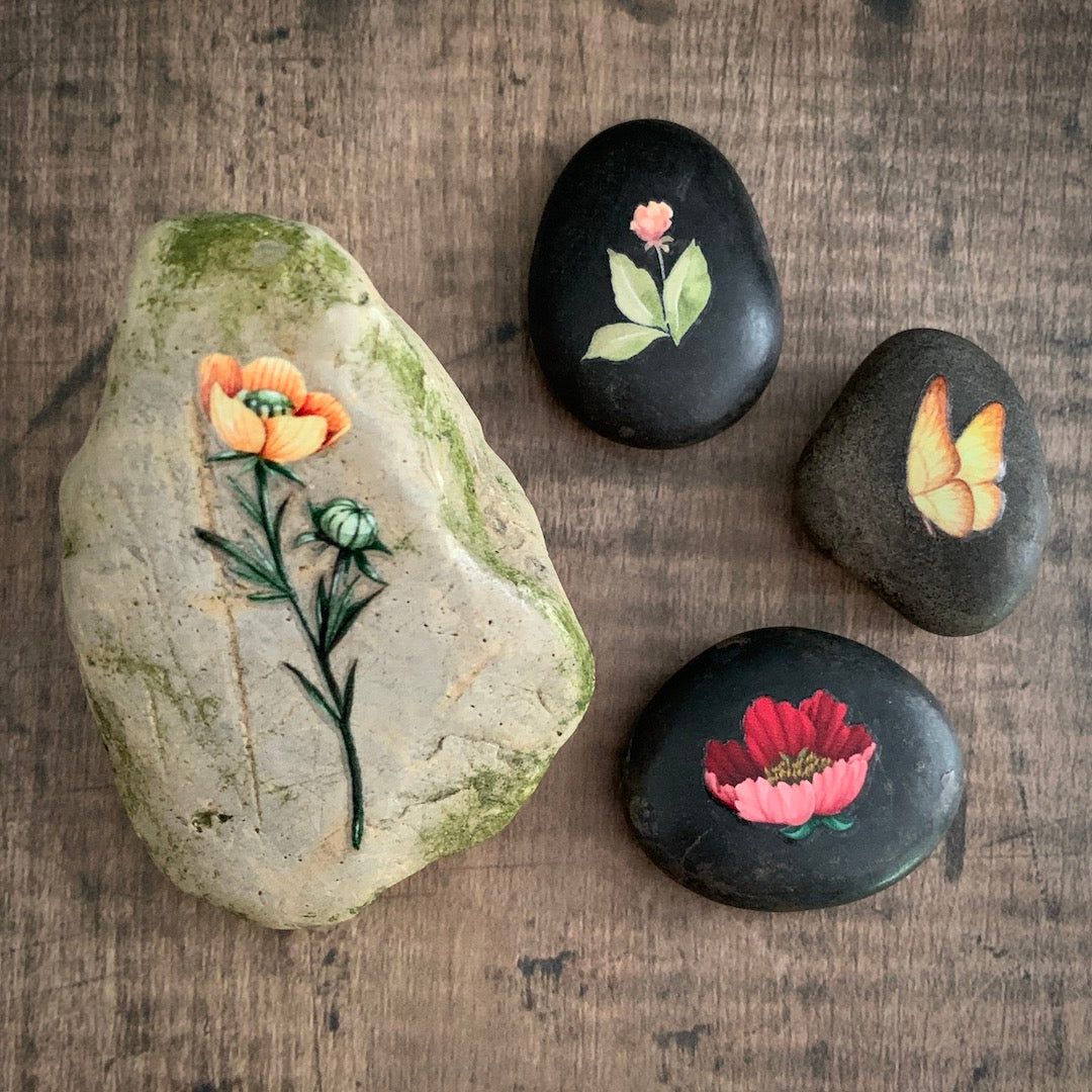 Birdmoss Box Monthly Subscription