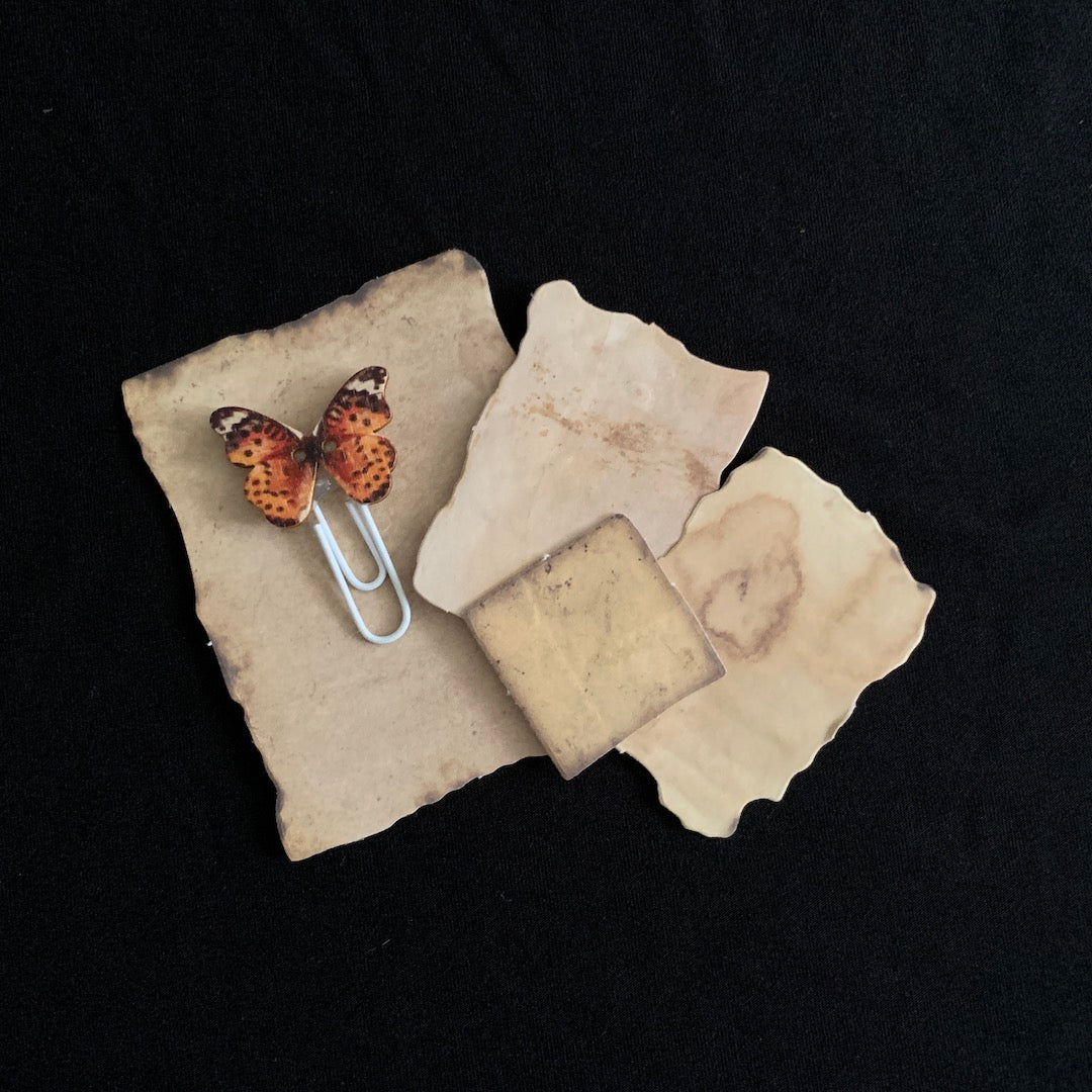 Specimen Labels - Antique-Style Stickers