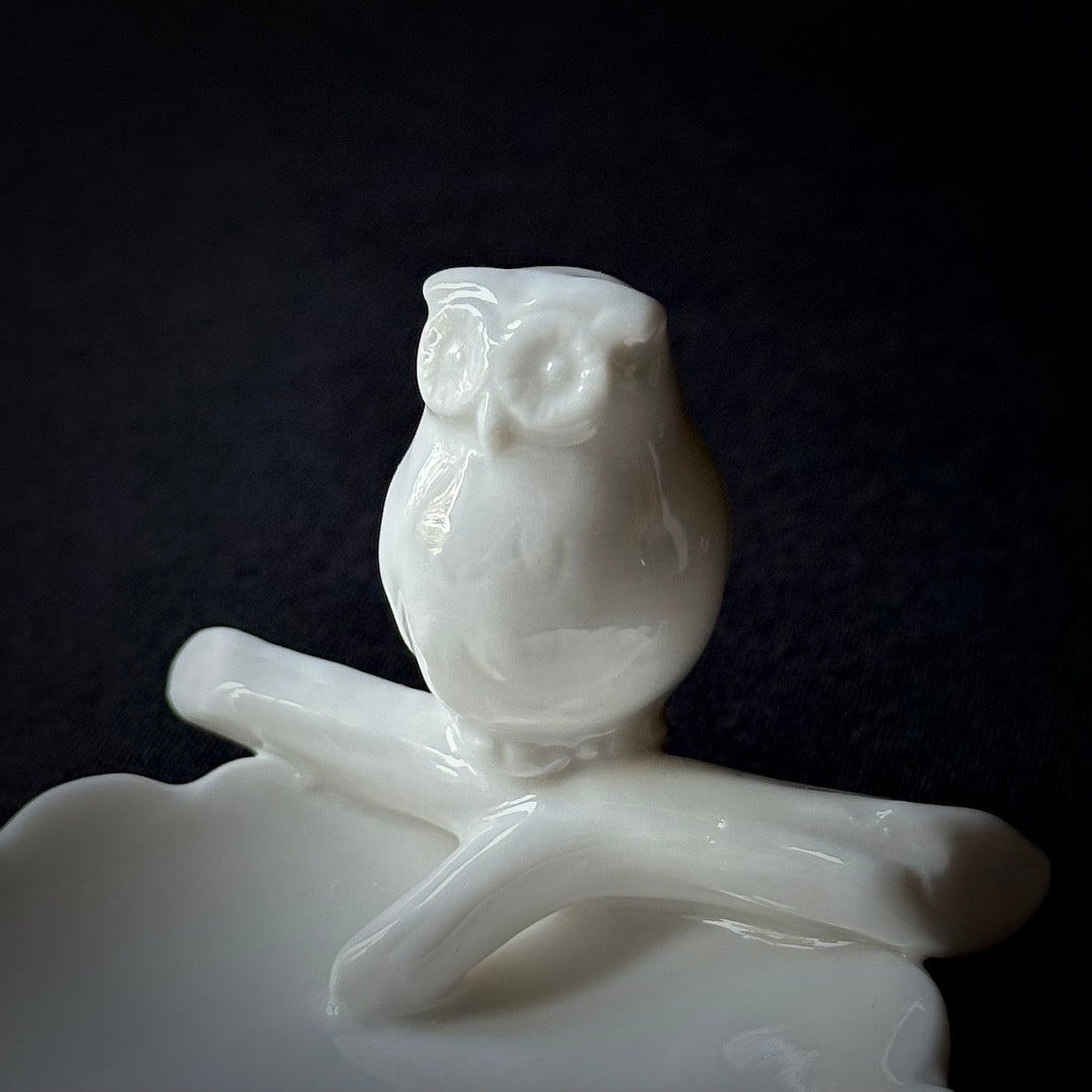 Owl Guardian - Ceramic Trinket Dish