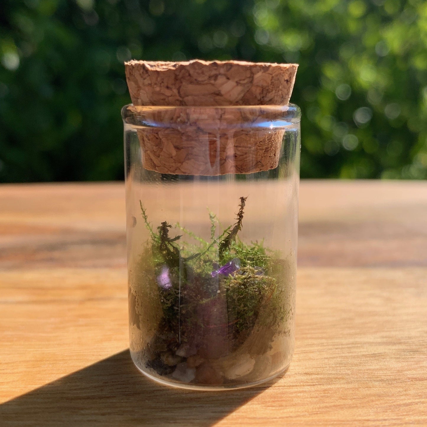 Prepaid Twelve Month Subscription - Birdmoss Box