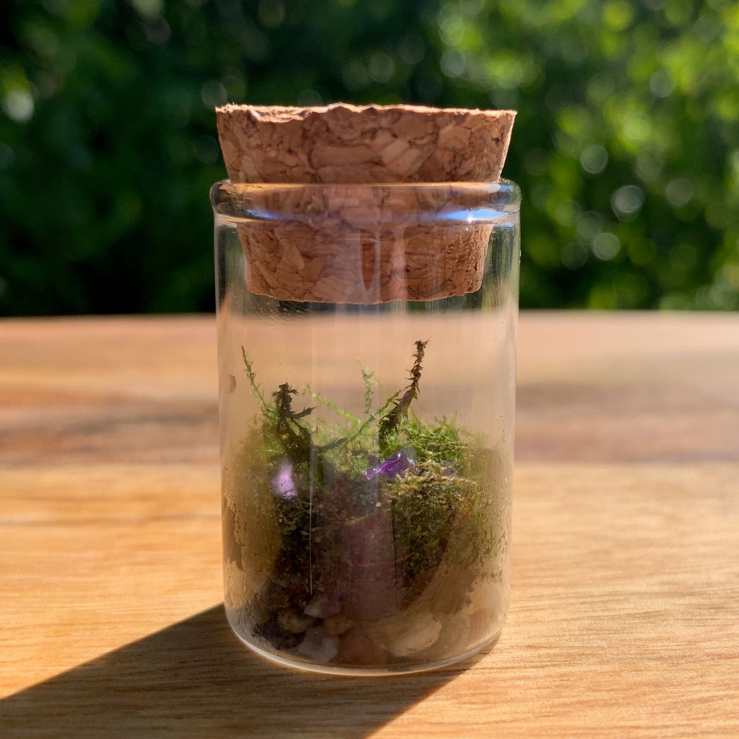 One-Time Purchase - Single Birdmoss Box