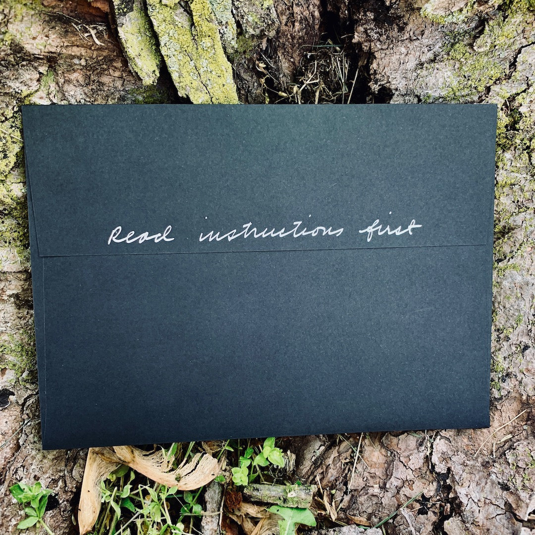 One-Time Purchase - Single Birdmoss Box