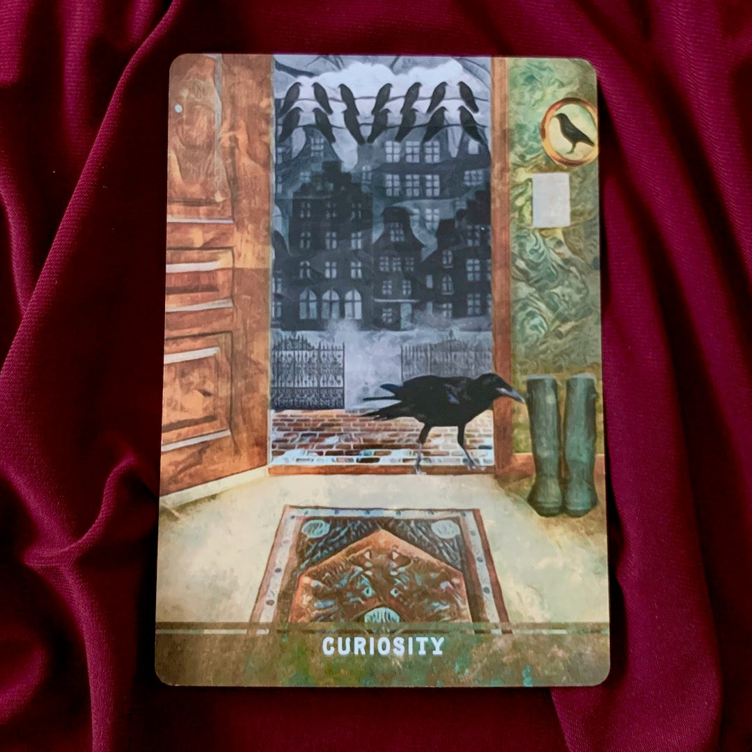 Signal from the Crows - Oracle Card Draw