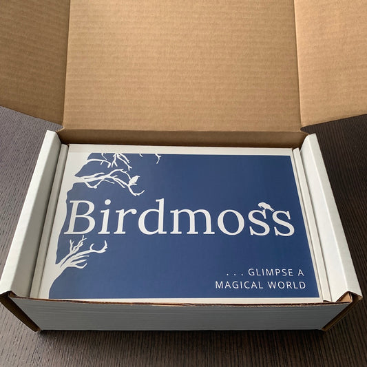 Box-in-Box Packaging