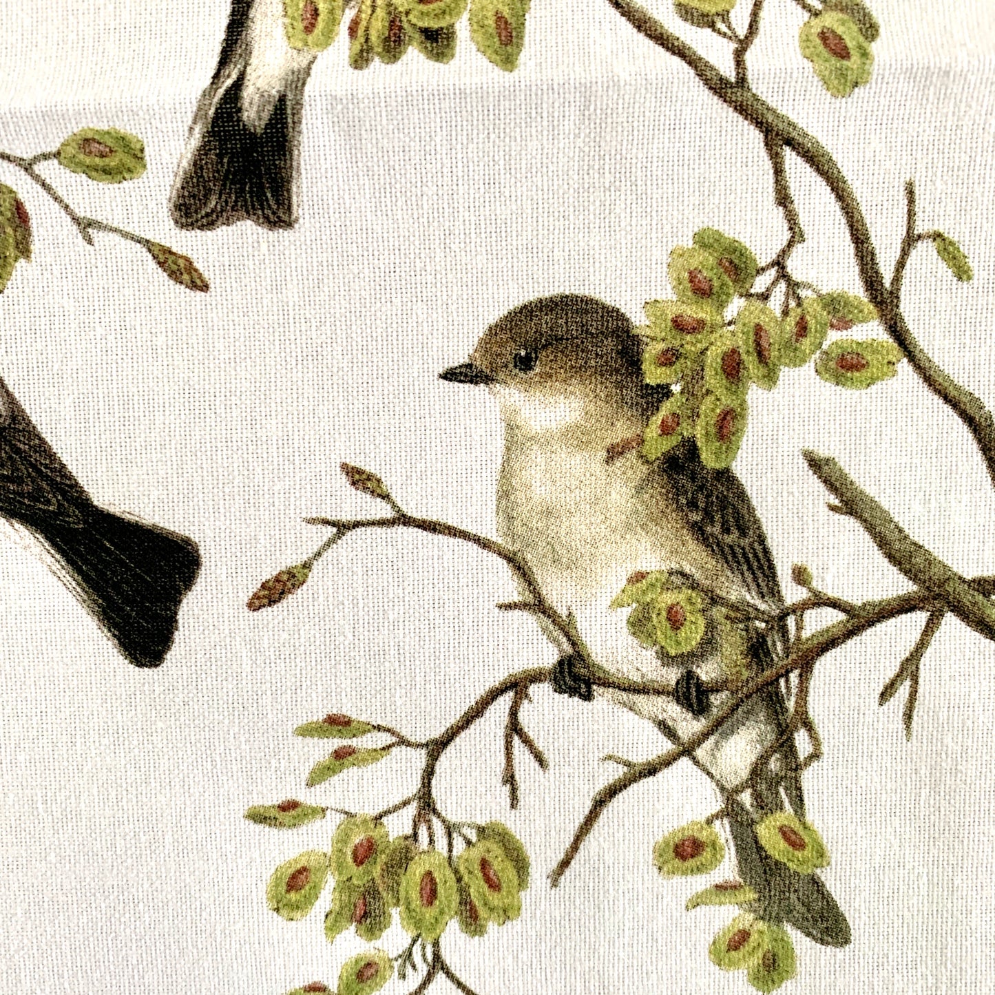 Pied Flycatcher - Bird Motif Tea Towel
