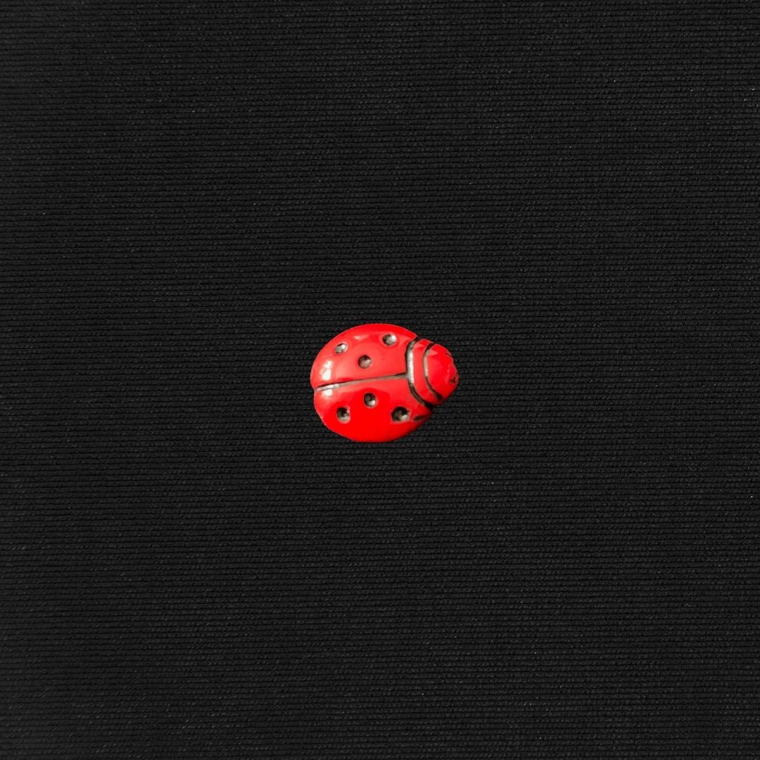 Elaborate Box with Ladybug