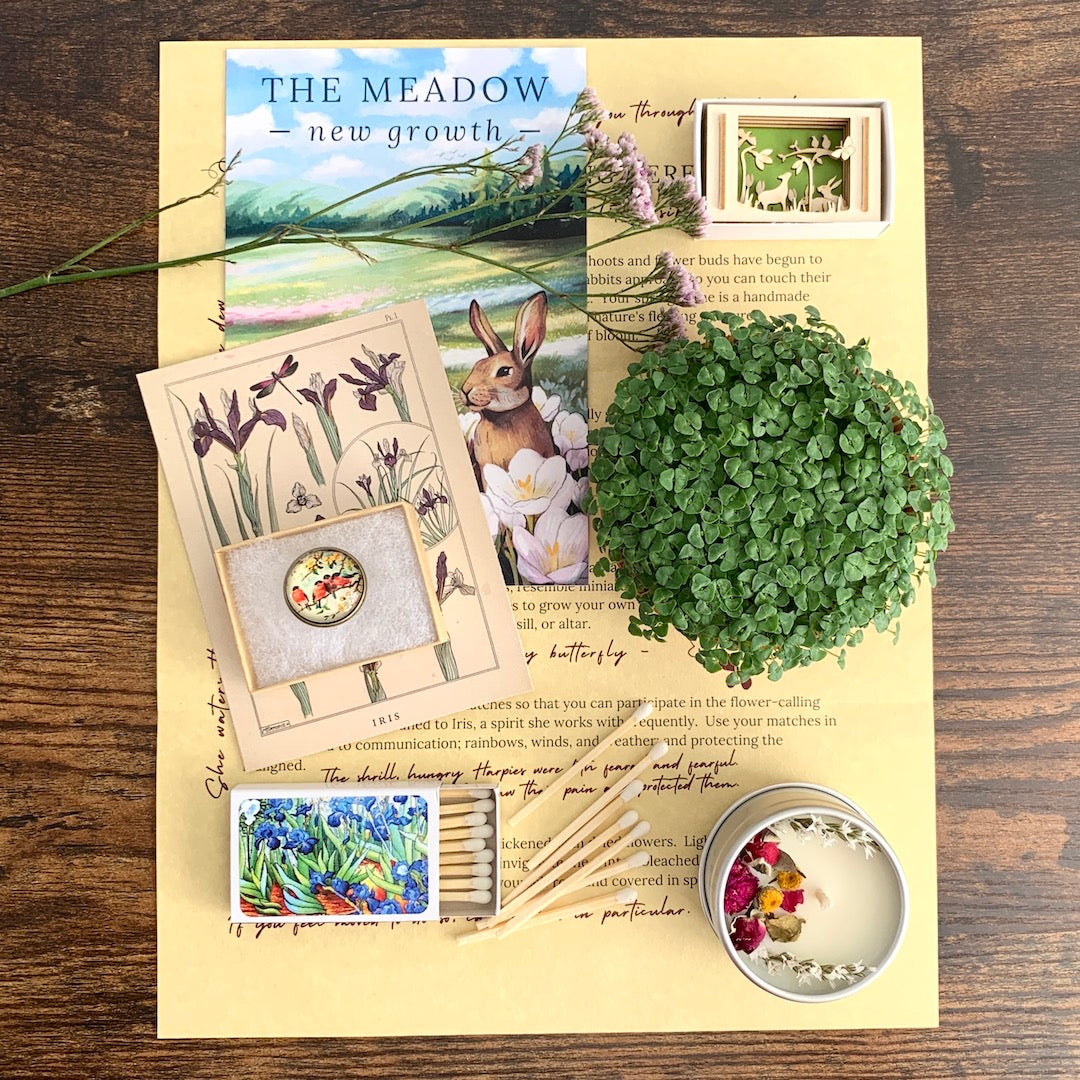 The Meadow - One-Time Box Purchase