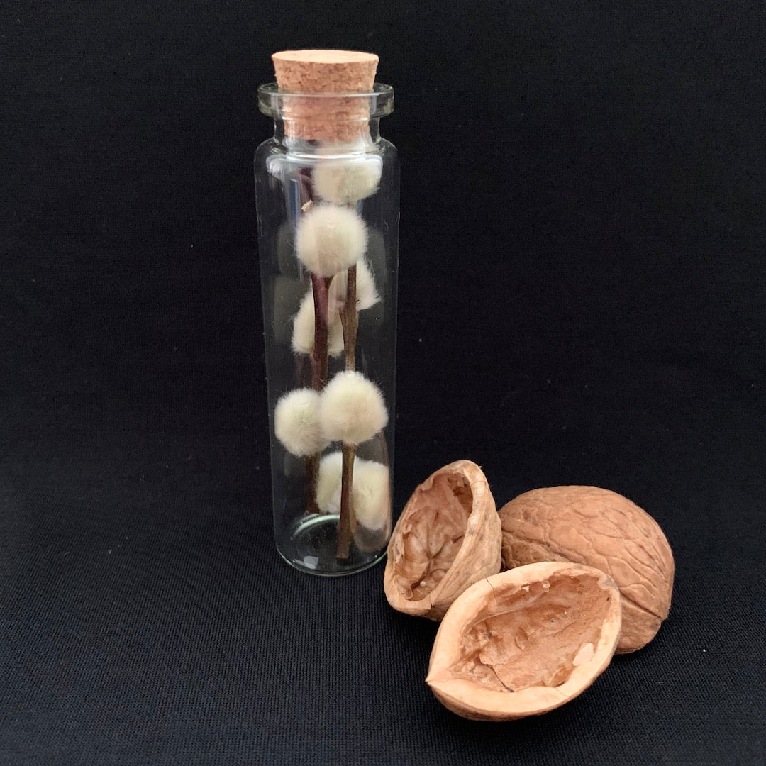 Box of Curiosities - Limited Edition Box