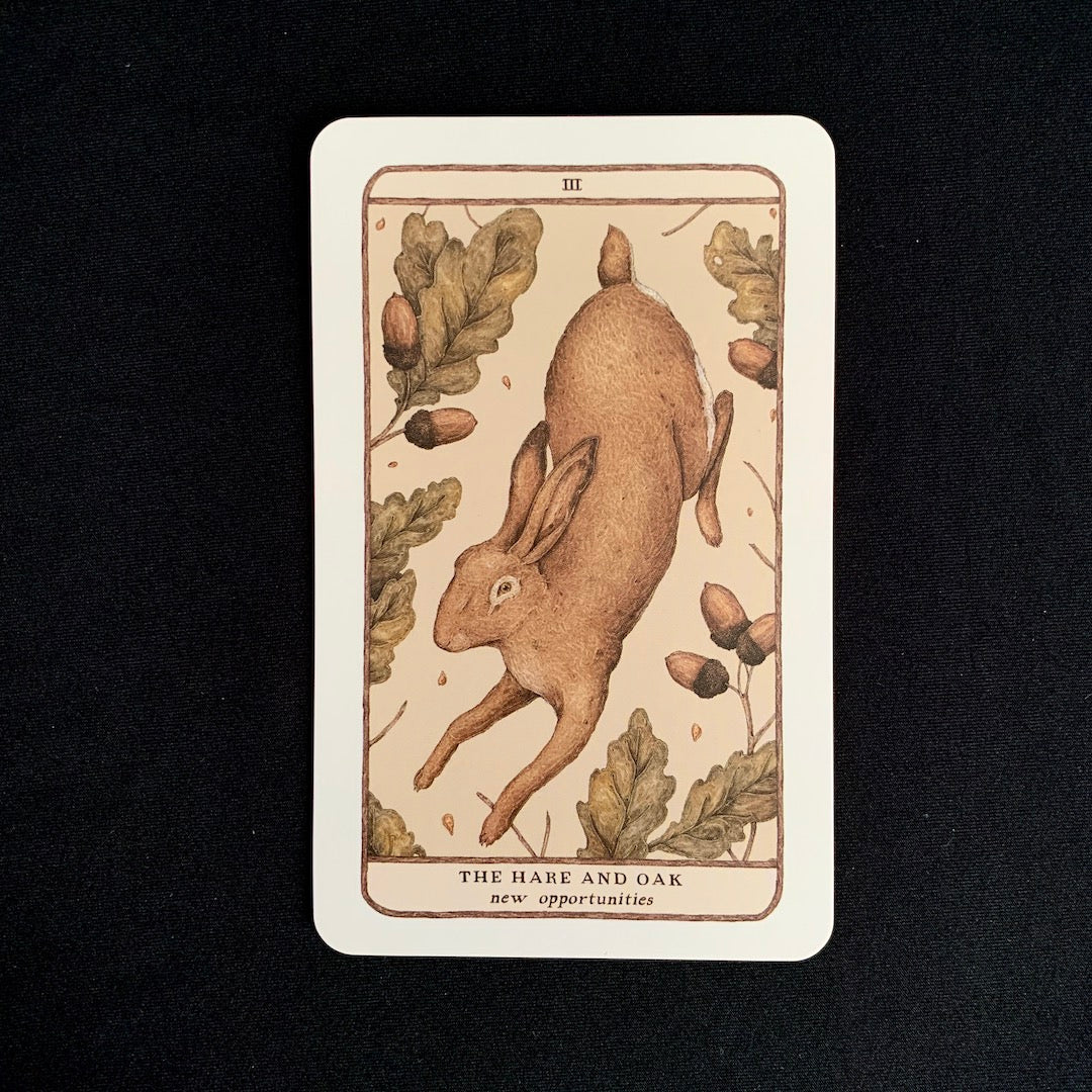 Emissary's Signal - Oracle Card Draw