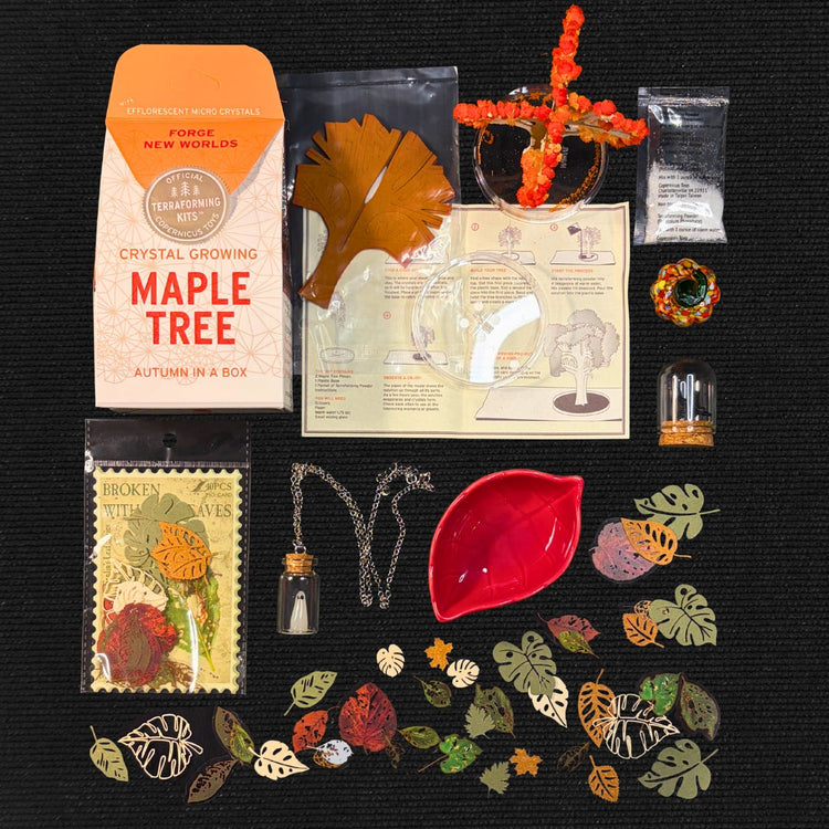 Limited Edition:  The Fall Festival