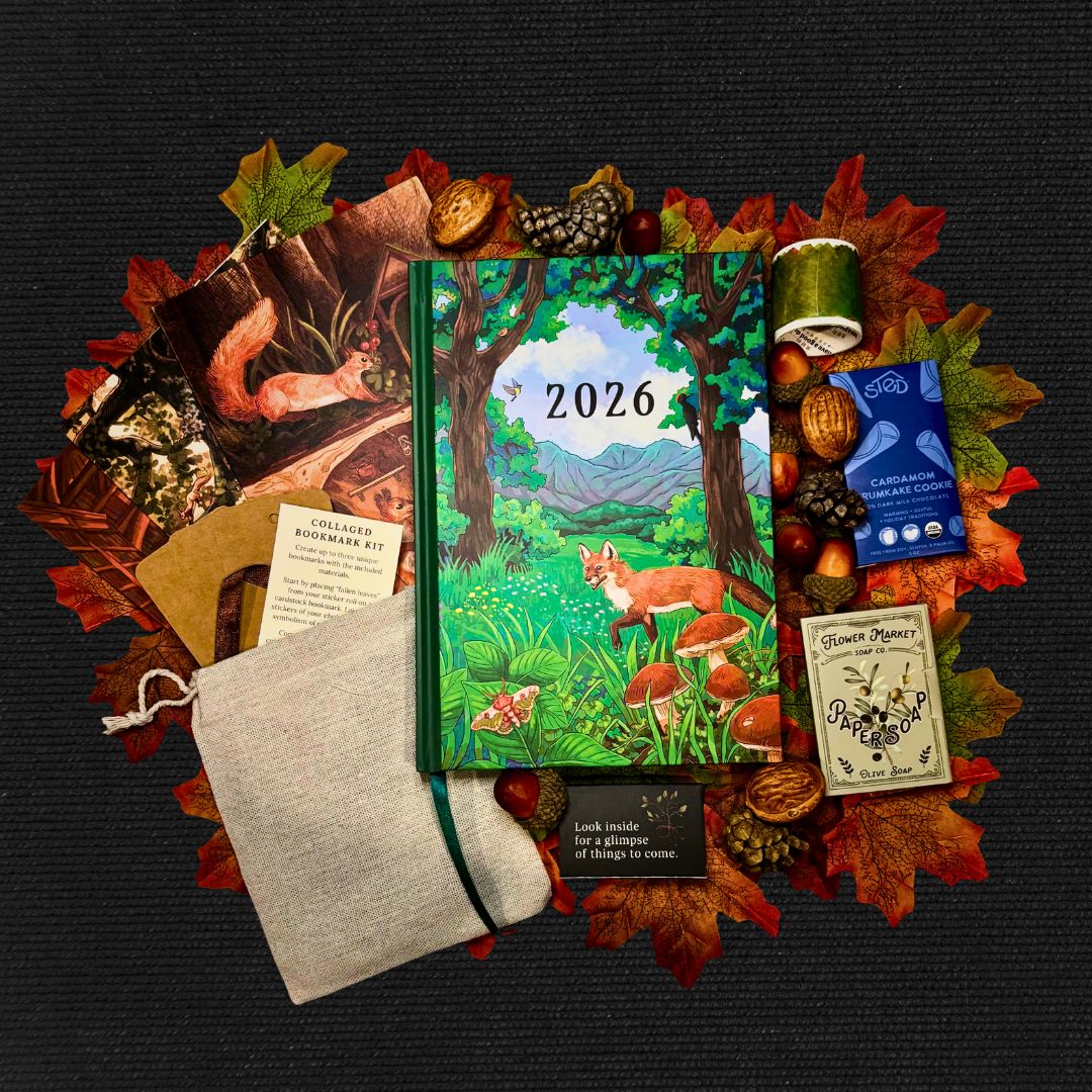 November:  The Library