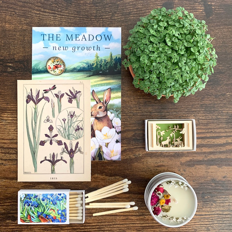 March 2023:  The Meadow