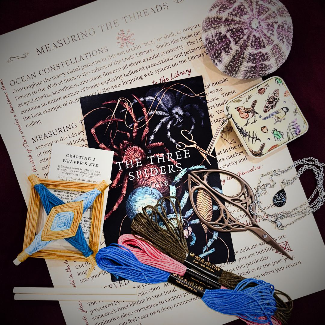 December 2025: The Three Spiders