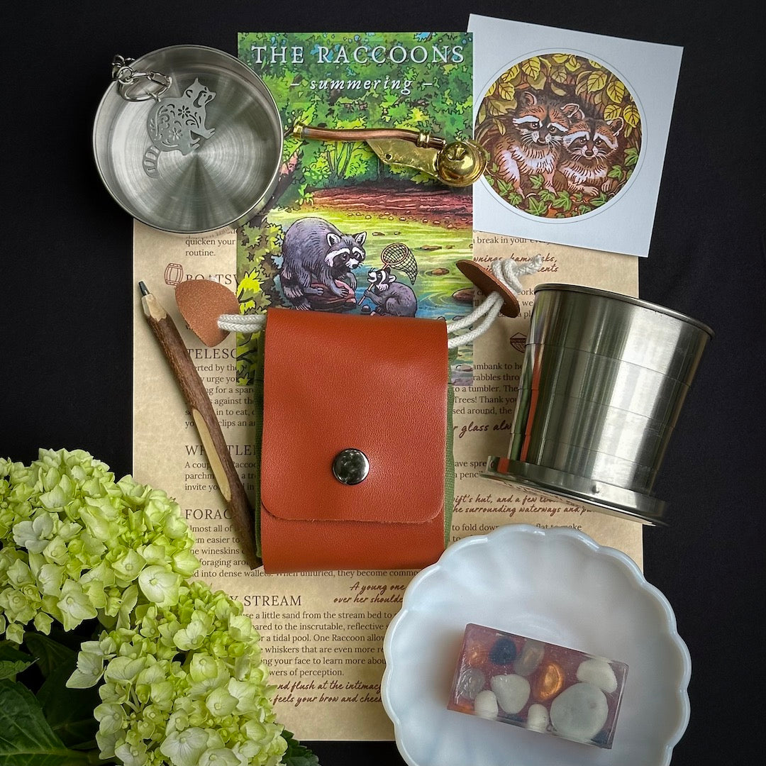 June: The Raccoons