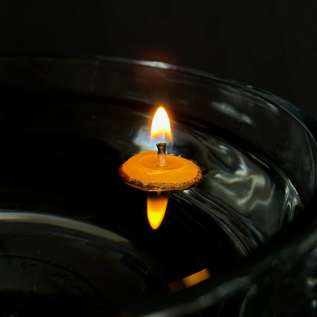 The Briefest Light - Acorn-Cap Candles