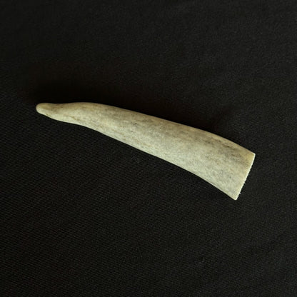 A Year in Bone - Deer Antler Tip