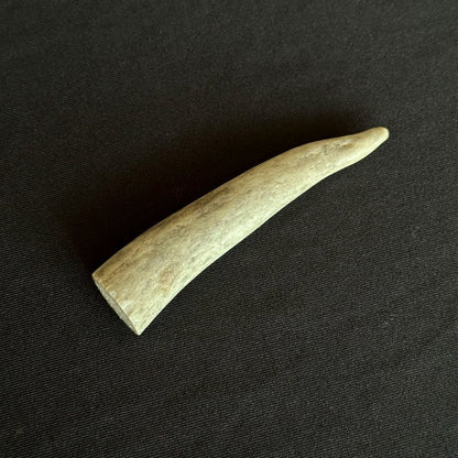 A Year in Bone - Deer Antler Tip