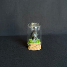Load image into Gallery viewer, Crystal Mushroom Cloche
