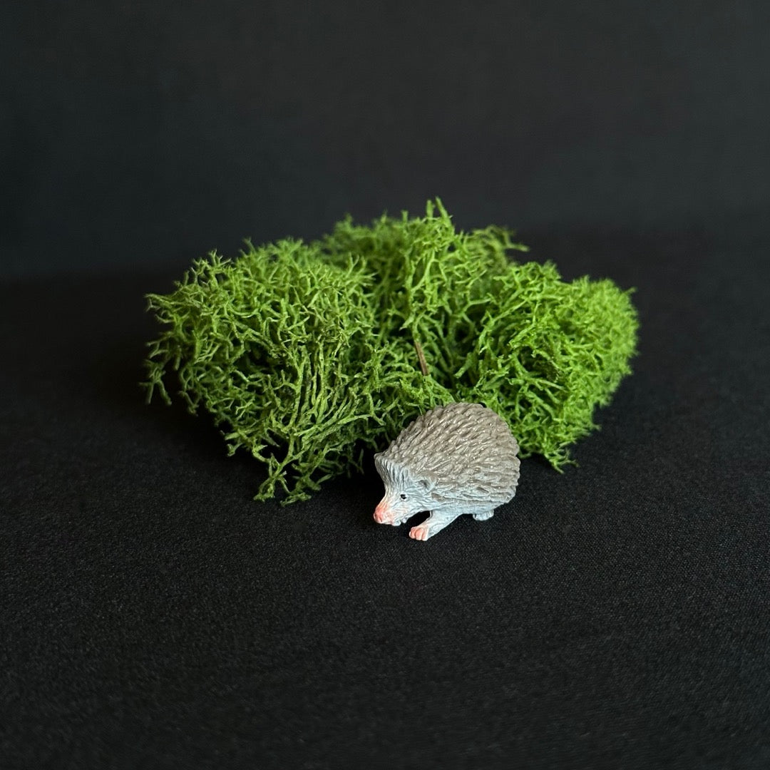 Hedgehog and Moss Mini