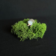 Load image into Gallery viewer, Hedgehog and Moss Mini
