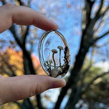 Load image into Gallery viewer, Mushroom Cabochon - The Forest, Frozen in Time
