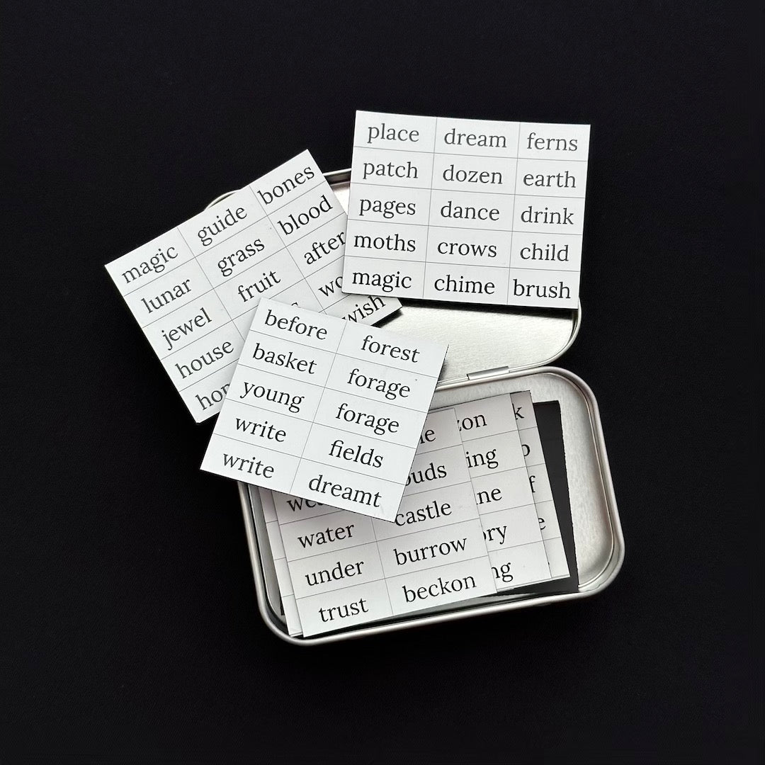 A Dreamer's Poetry Set - Magnetic Words and Tin