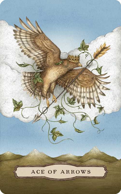 Woodland Wardens Tarot Deck