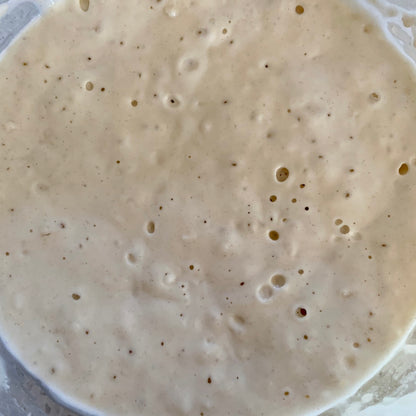 Wild Ferment - Dehydrated Sourdough Starter