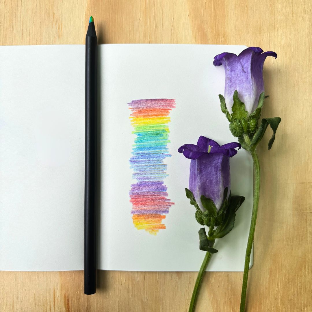 Instrument of Iris - Rainbow Pencil